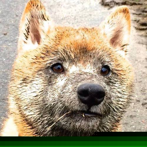 青少年赛程整合优化减少学业冲突，青少年学科竞赛